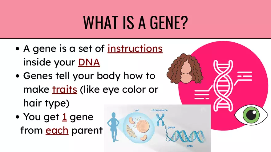 Genes & Alleles - Page 2
