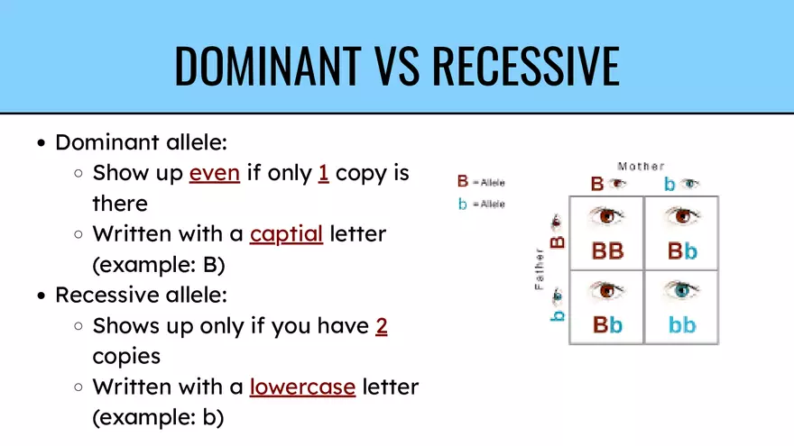 Genes & Alleles - Page 4