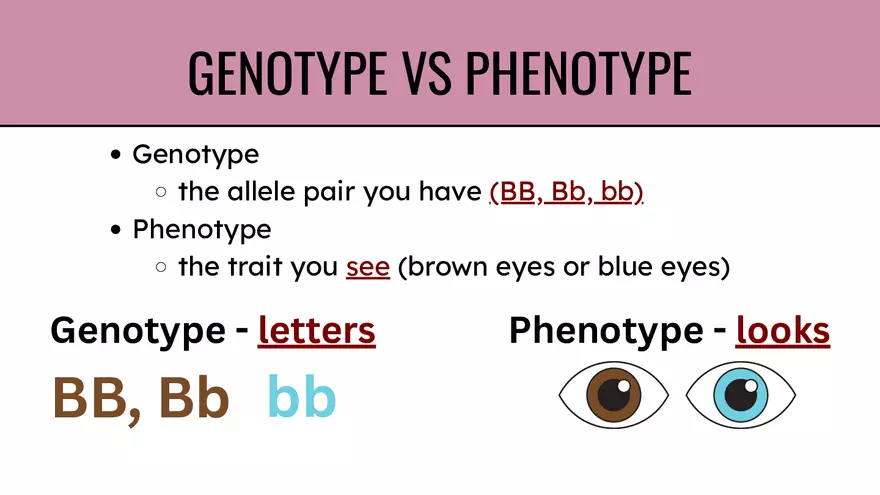 Genes & Alleles - Page 5