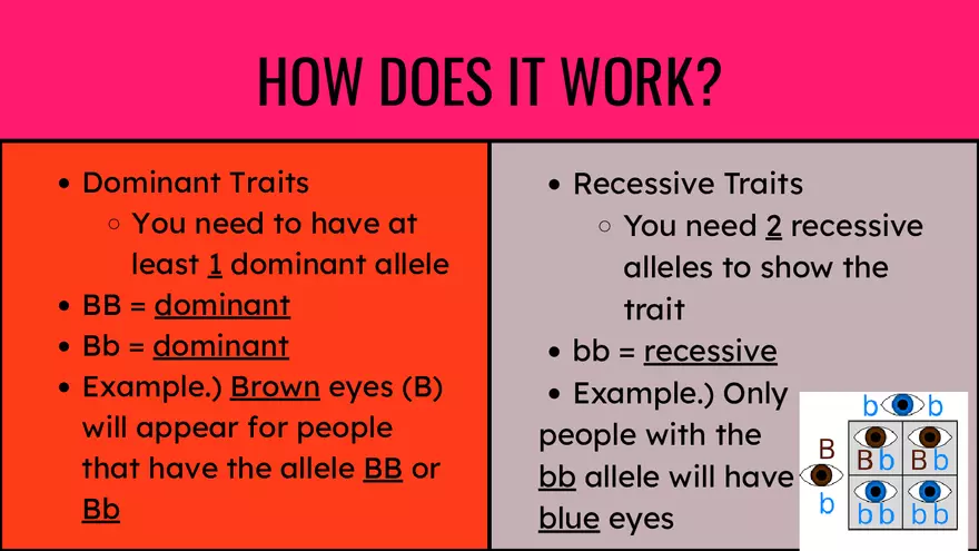 Genes & Alleles - Page 6