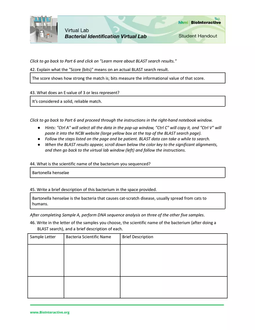 Dev Poduval Bacterial Identification Lab Worksheet - Page 7