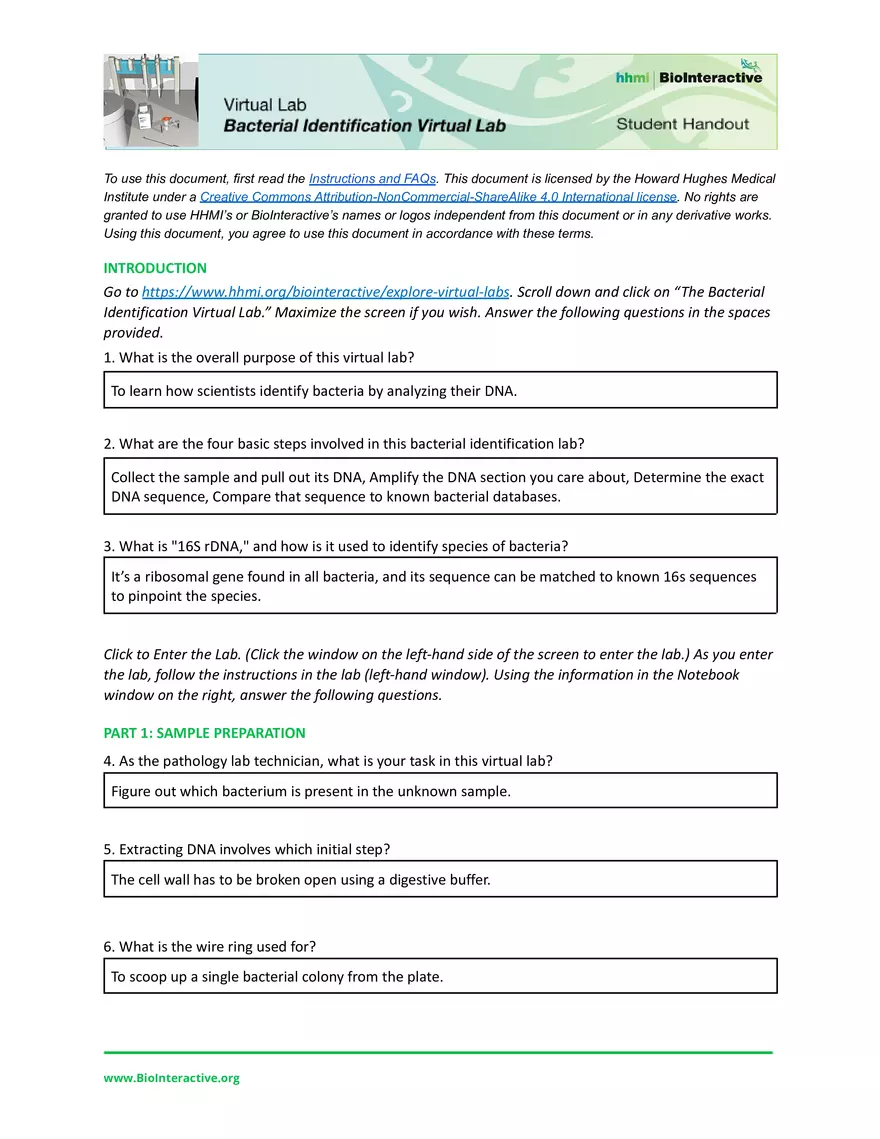 Dev Poduval Bacterial Identification Lab Worksheet - Page 1