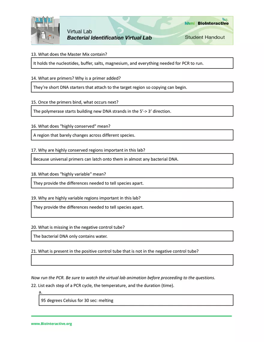 Dev Poduval Bacterial Identification Lab Worksheet - Page 3