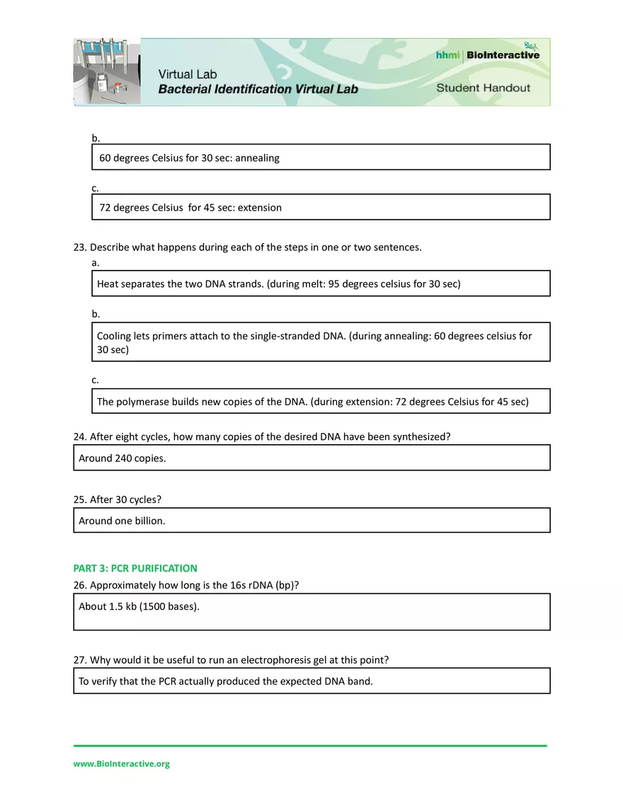 Dev Poduval Bacterial Identification Lab Worksheet - Page 4