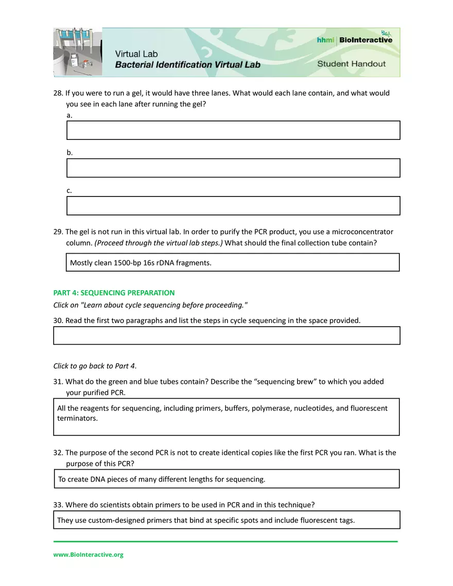 Dev Poduval Bacterial Identification Lab Worksheet - Page 5