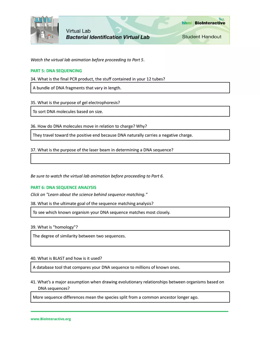 Dev Poduval Bacterial Identification Lab Worksheet - Page 6
