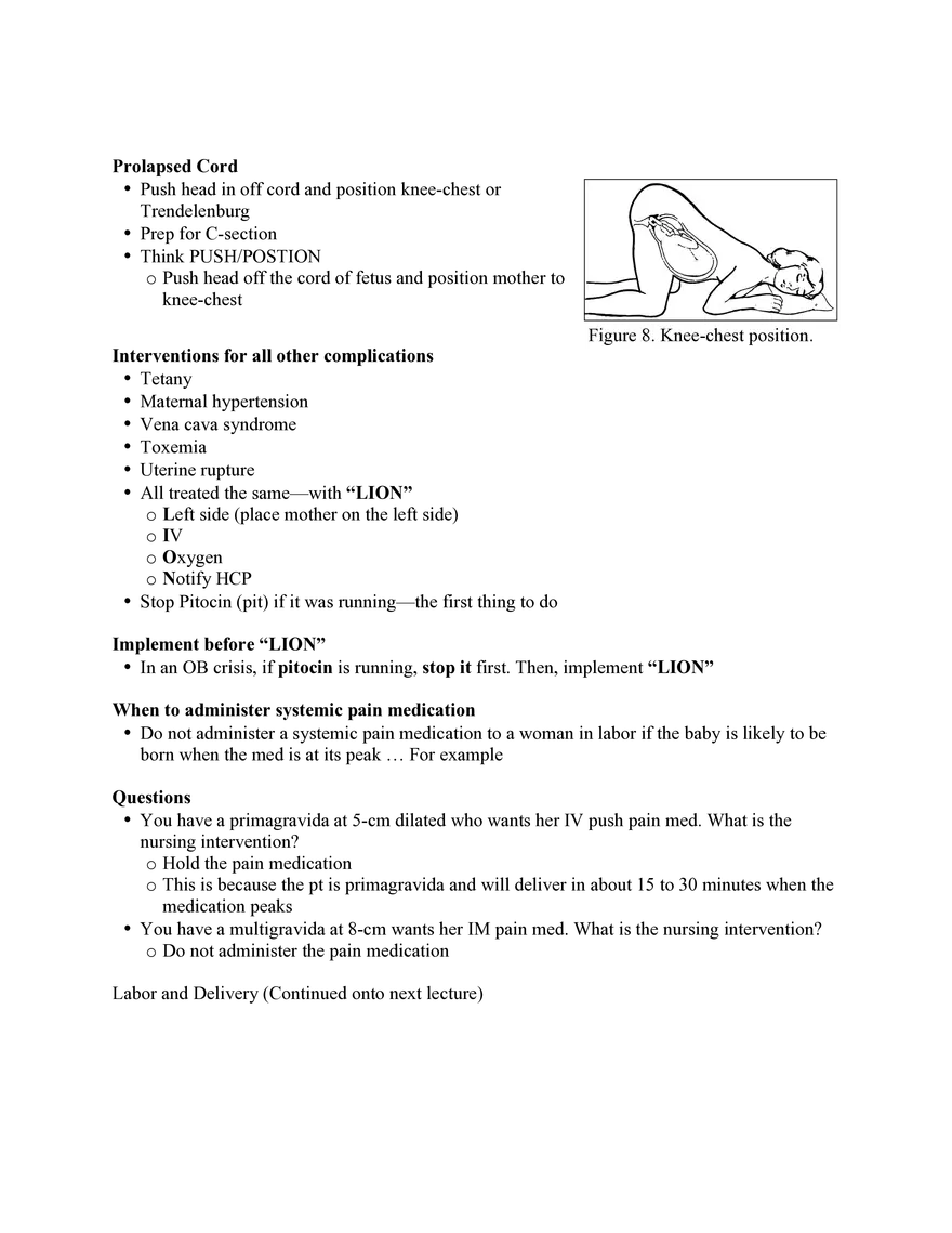 Nursing Exam Review Lecture 10 Maternity and Neonatology - Page 8