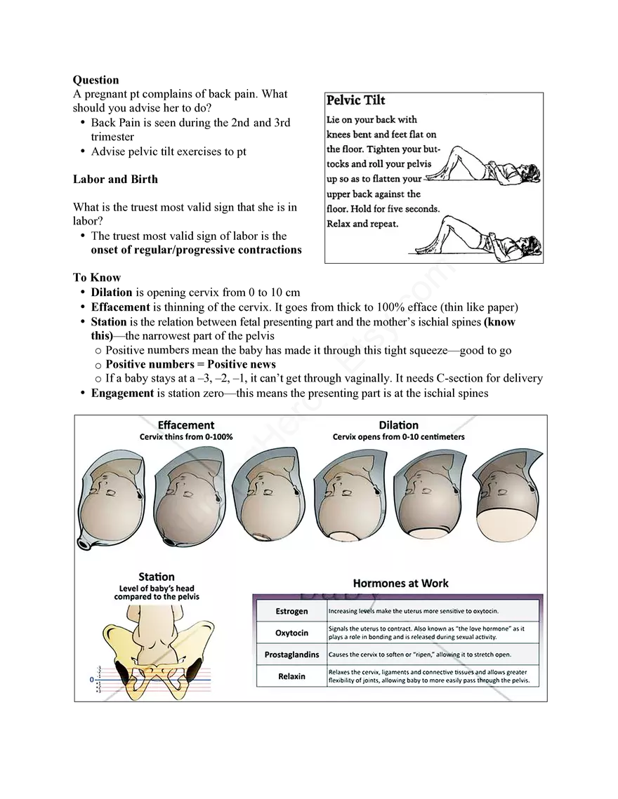 Nursing Exam Review Lecture 10 Maternity and Neonatology - Page 4