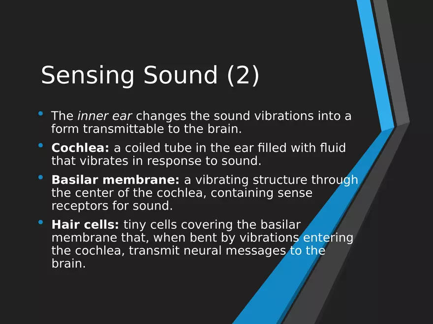 Sensation and Perception Lecture 4 - Page 8