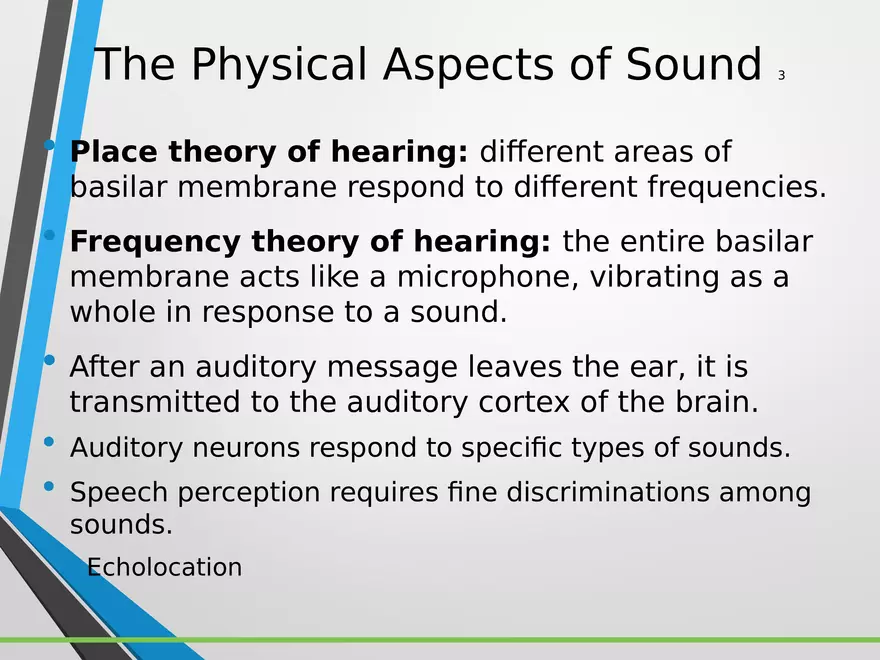 Sensation and Perception Lecture 4 - Page 11