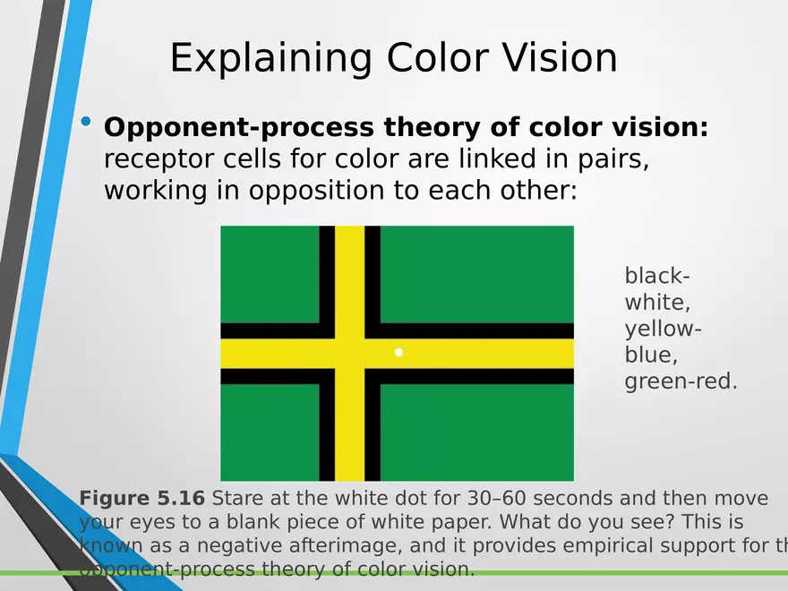 Sensation and Perception Lecture 4 - Page 1