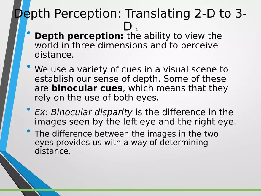 Sensation and Perception Lecture 4 - Page 2