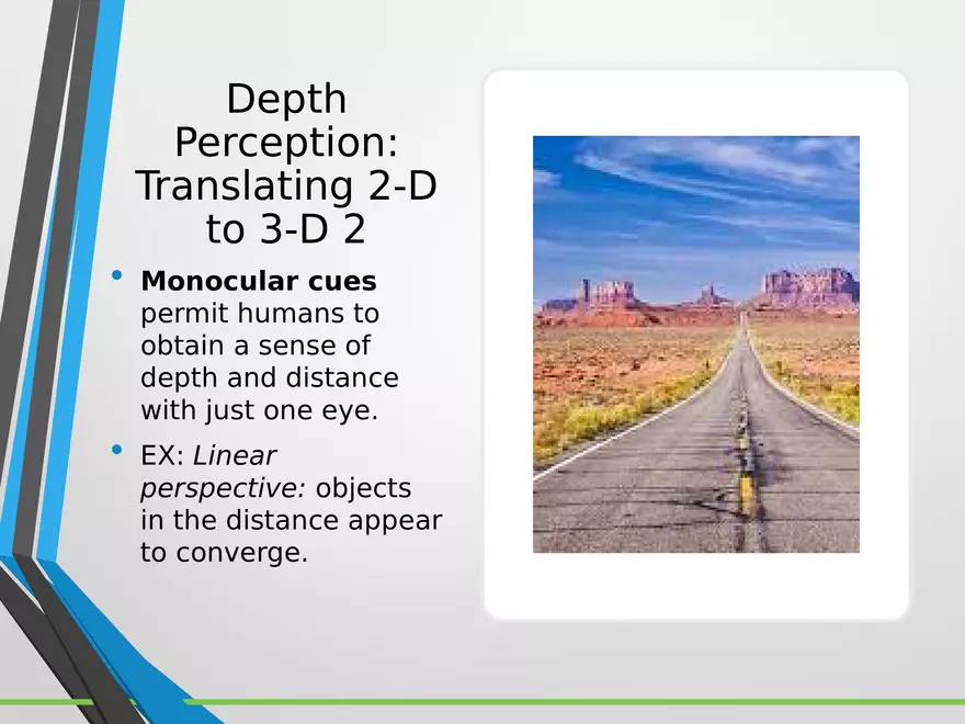 Sensation and Perception Lecture 4 - Page 4