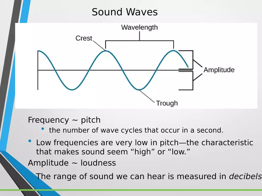 Sensation and Perception Lecture 4 - Page 5
