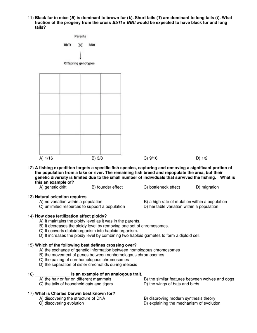 Basic Genetics and Evolution Multiple Choice Questions - Page 2