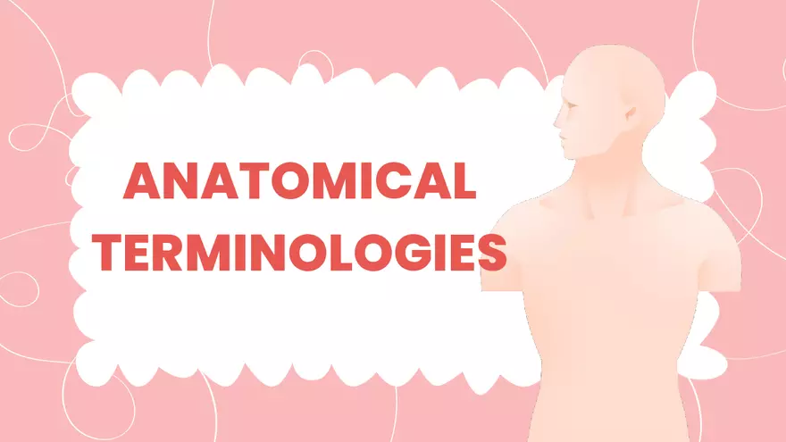 Anatomical Terminologies - Page 1