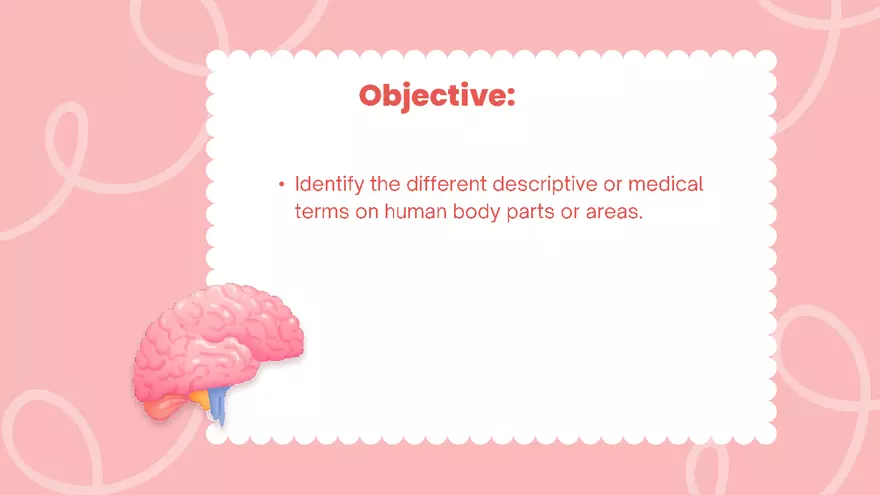 Anatomical Terminologies - Page 2