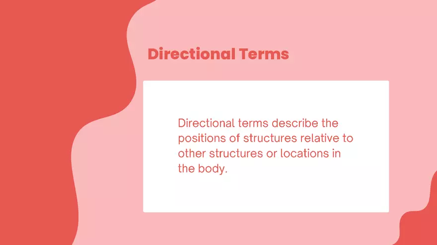 Anatomical Terminologies - Page 4