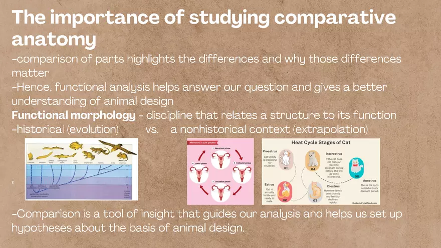 Vertebrate Anatomy - Fish - Page 4