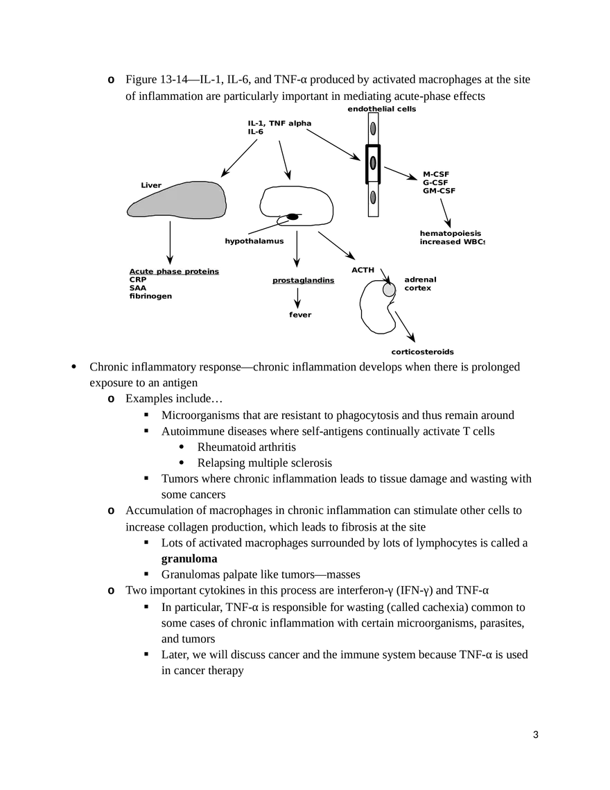 9 22 Exam II: Study Guide - Page 13