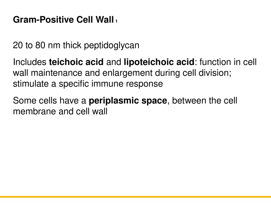 A Survey of Prokaryotic Cells and Microorganisms Lecture 4 - Page 7