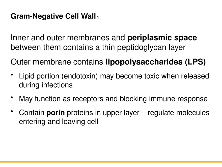 A Survey of Prokaryotic Cells and Microorganisms Lecture 4 - Page 9