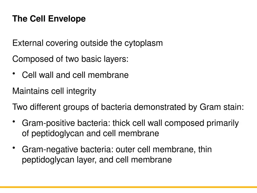 A Survey of Prokaryotic Cells and Microorganisms Lecture 4 - Page 1