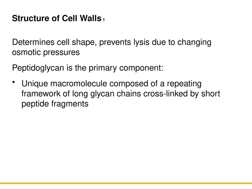 A Survey of Prokaryotic Cells and Microorganisms Lecture 4 - Page 2