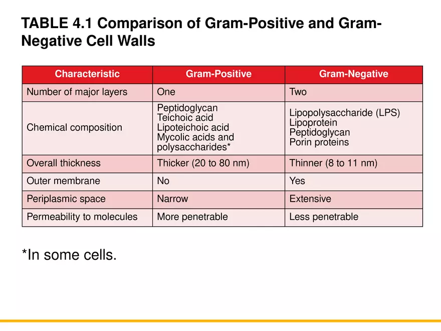A Survey of Prokaryotic Cells and Microorganisms Lecture 4 - Page 3