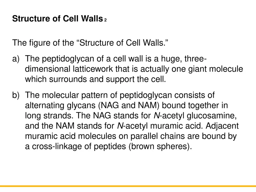 A Survey of Prokaryotic Cells and Microorganisms Lecture 4 - Page 4