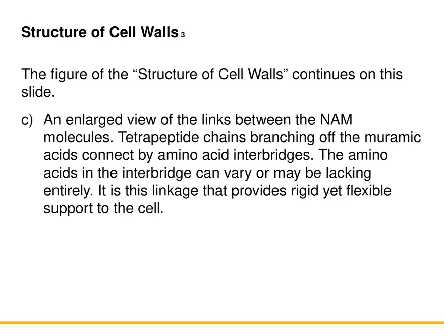 A Survey of Prokaryotic Cells and Microorganisms Lecture 4 - Page 5