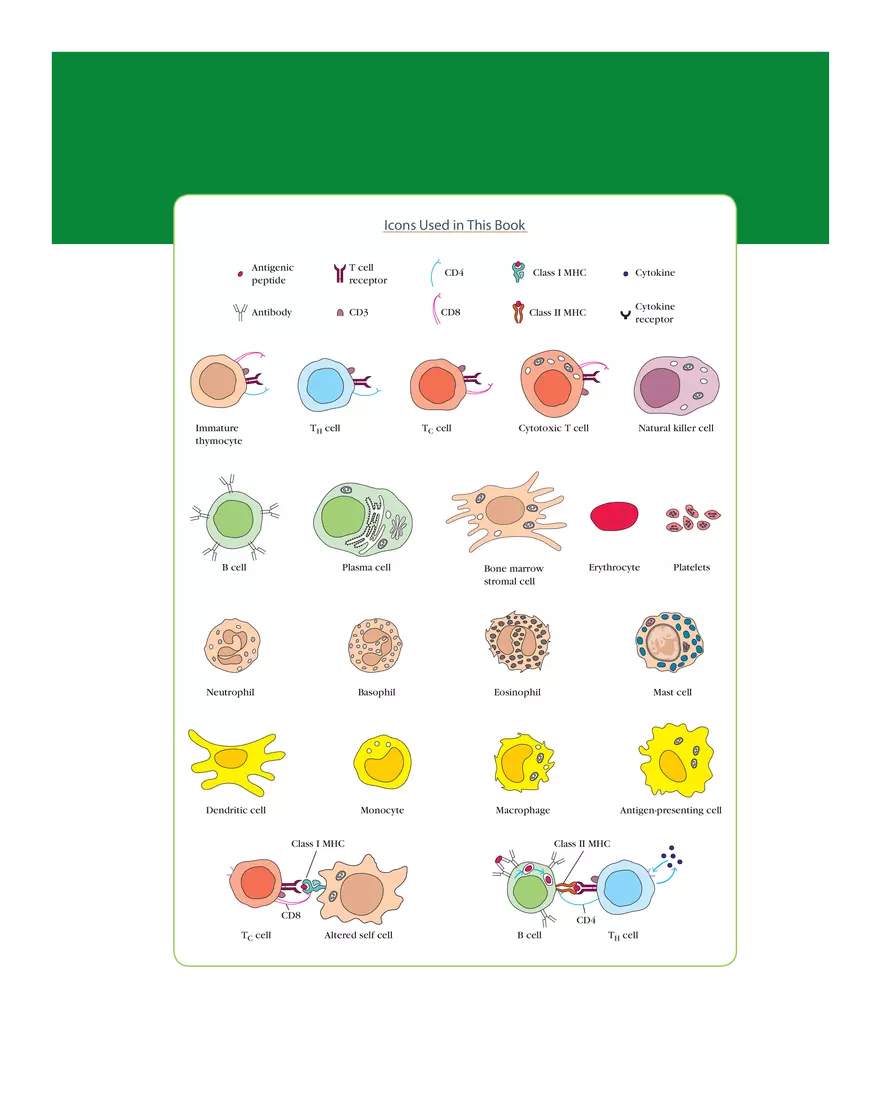 Antigenic Peptides, MHC, and Cytokines - Page 1
