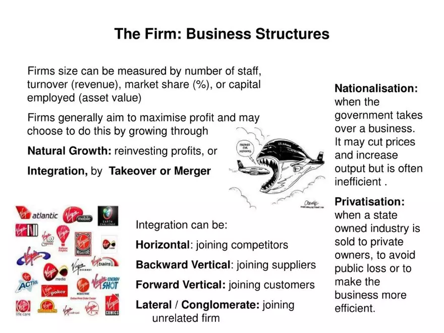 Economics for CIE IGCSE - Page 17