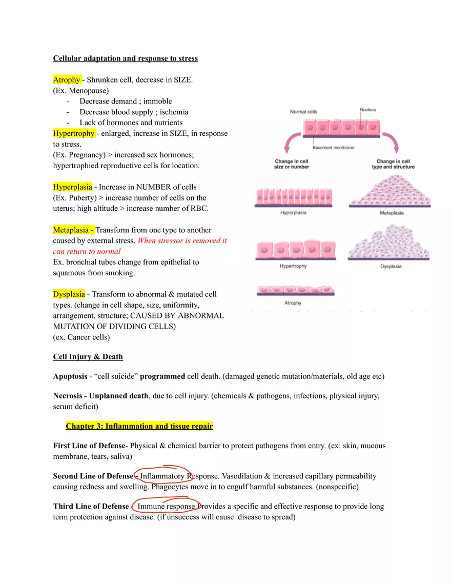 Disease Etiology and Levels of Prevention in Healthcare - Page 2