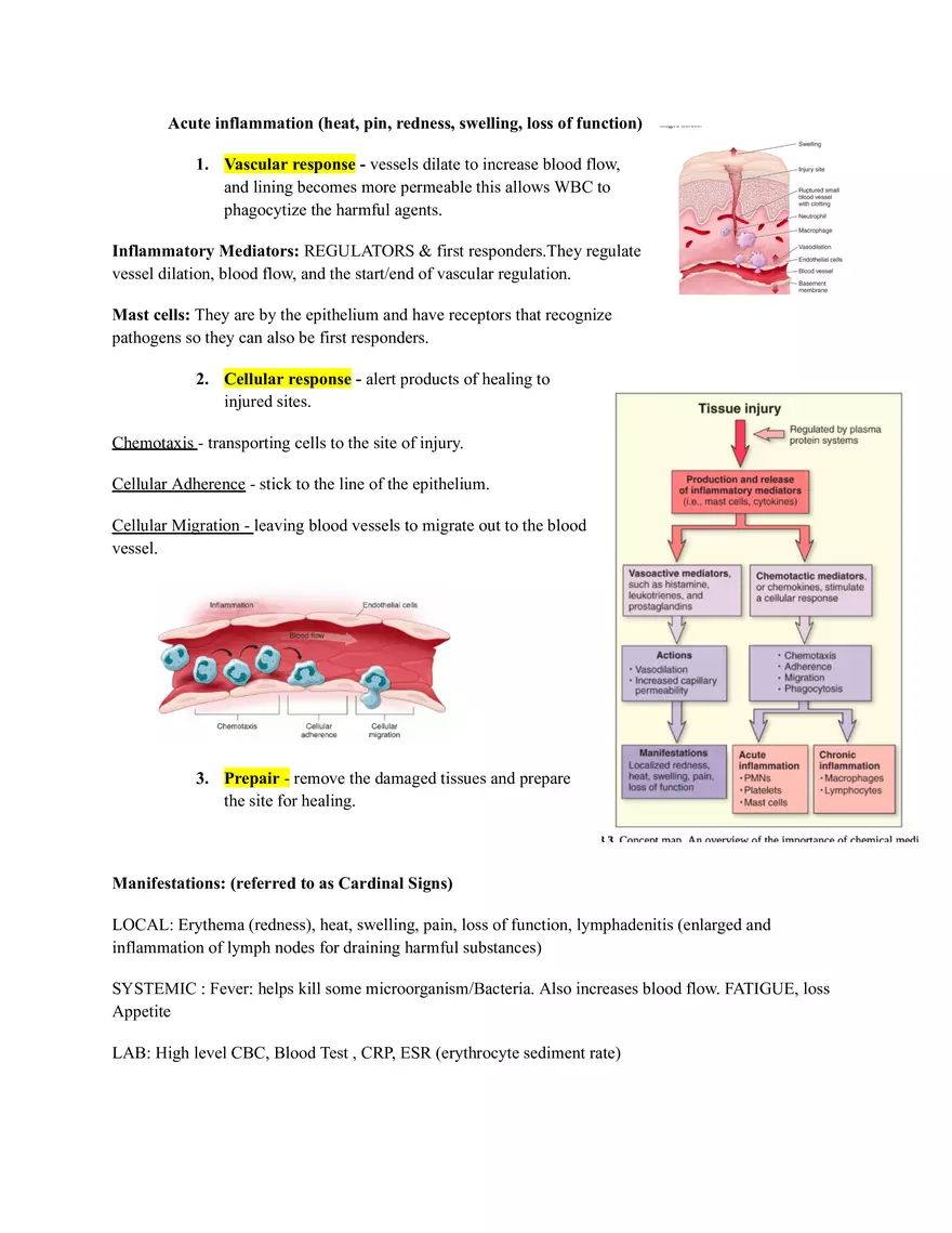Disease Etiology and Levels of Prevention in Healthcare - Page 3