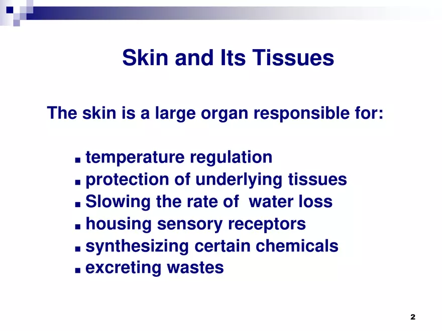 Skin and Its Tissues - Page 2