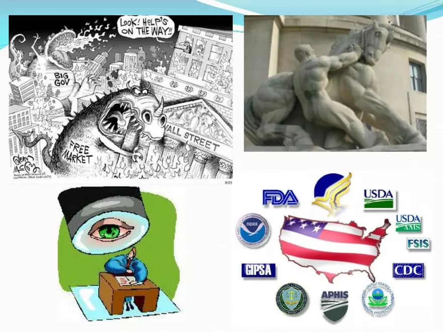 Chapter 7: Market Structures - Page 7