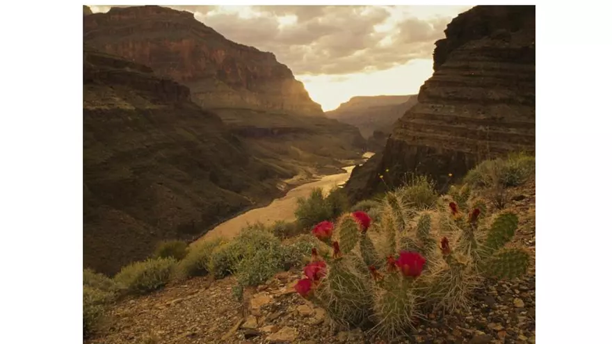 Weathering and Erosion - Page 8