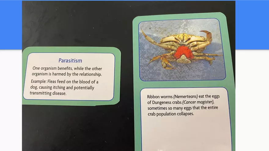 Symbiotic Relationships - Page 2