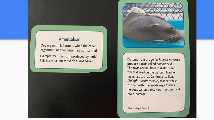 Symbiotic Relationships - Page 3