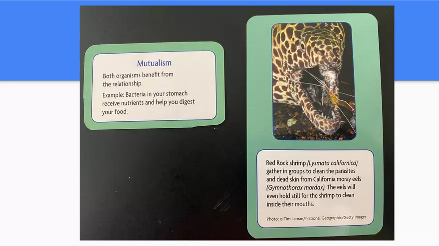 Symbiotic Relationships - Page 4