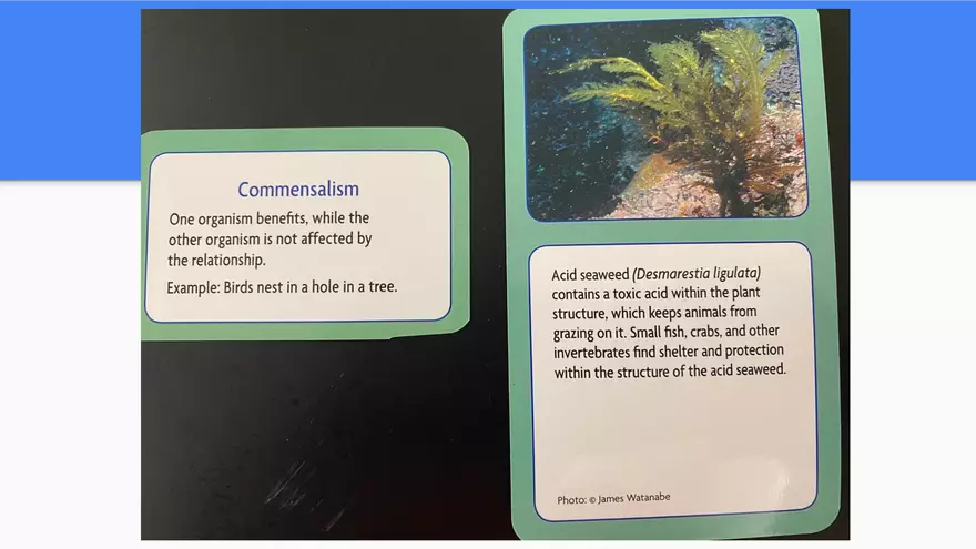 Symbiotic Relationships - Page 5