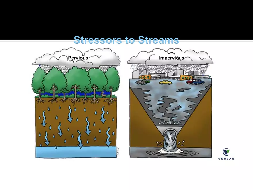 Land Use Effects on Water Quality - Page 7