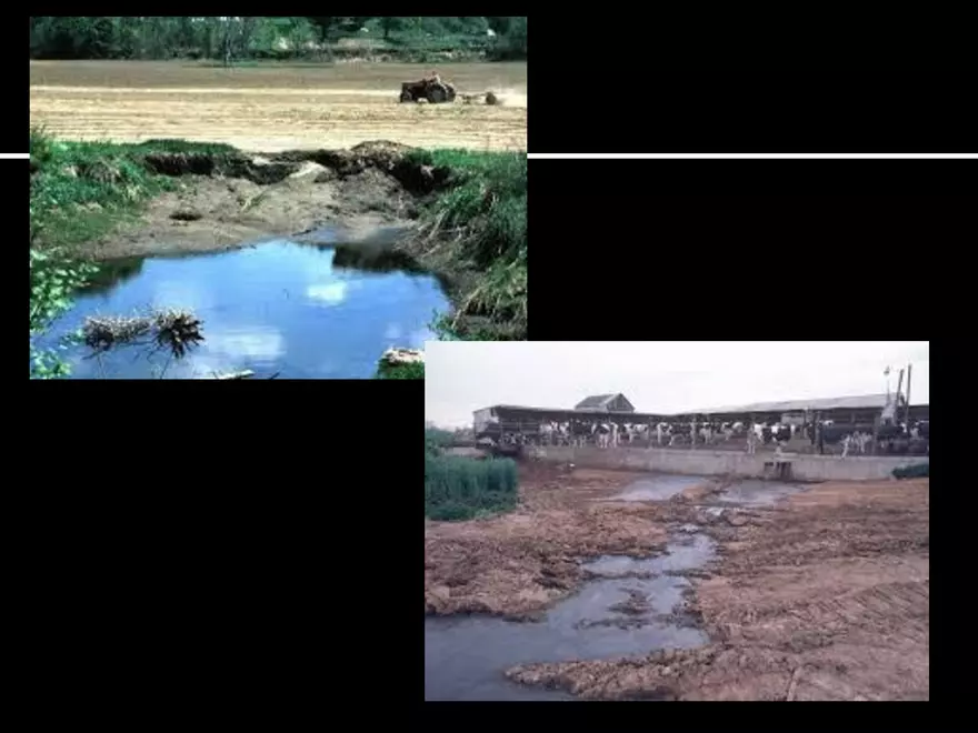 Land Use Effects on Water Quality - Page 10