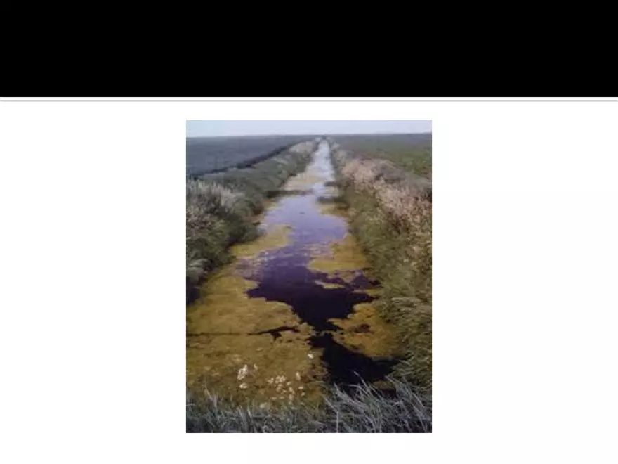 Land Use Effects on Water Quality - Page 12