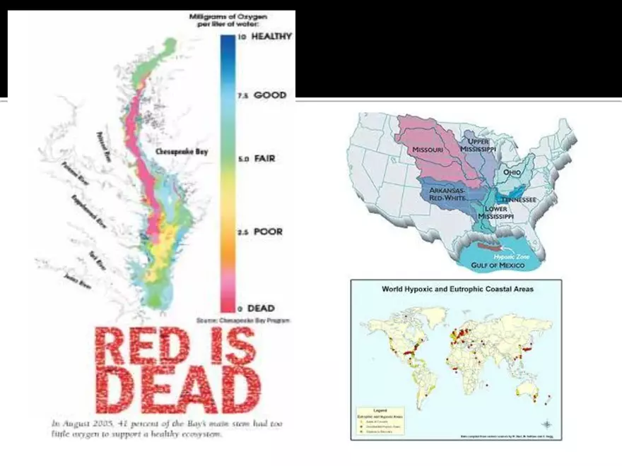 Land Use Effects on Water Quality - Page 16