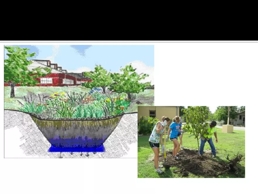 Land Use Effects on Water Quality - Page 18