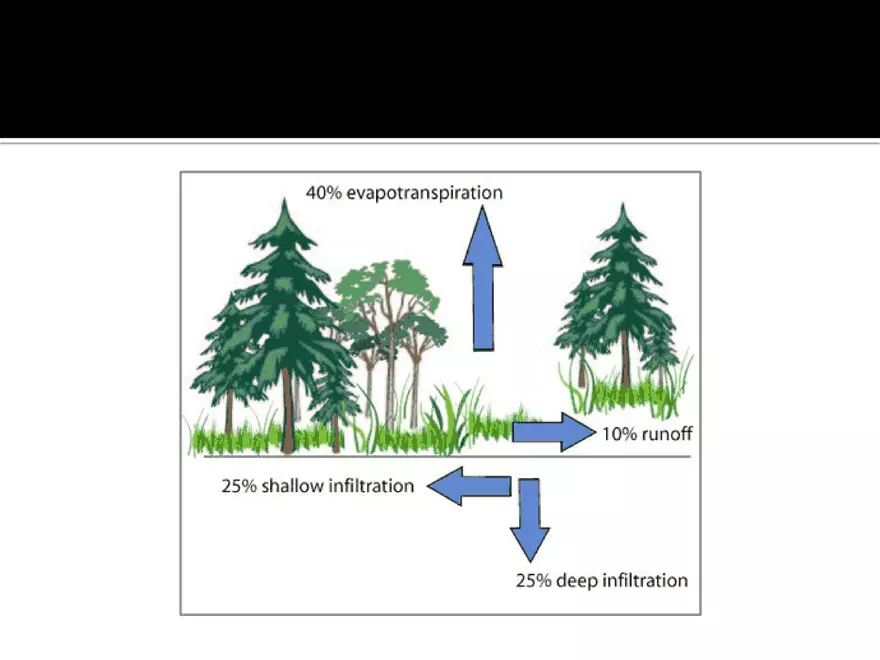 Land Use Effects on Water Quality - Page 6