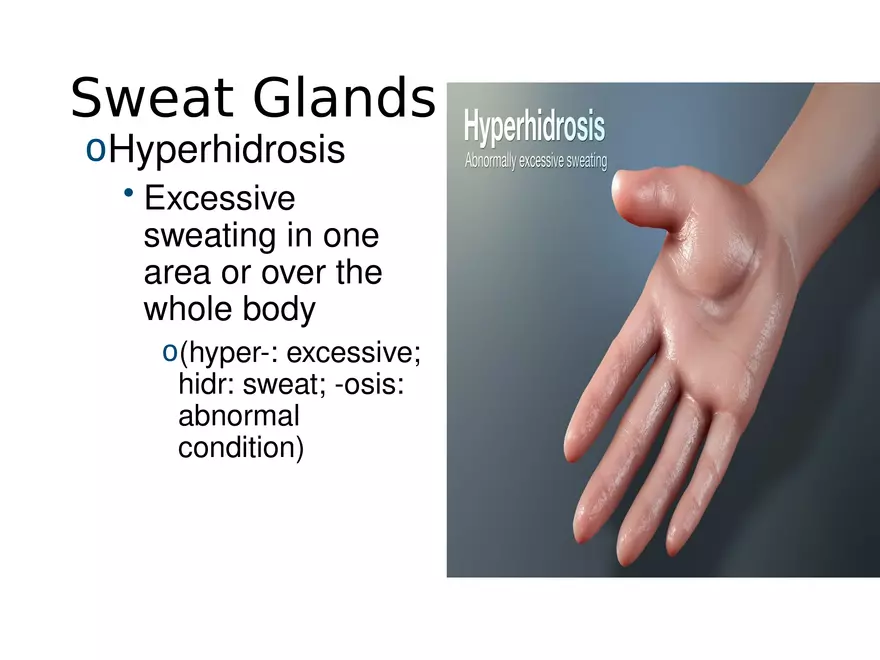 The Integumentary System Lecture (Skin) - Page 11