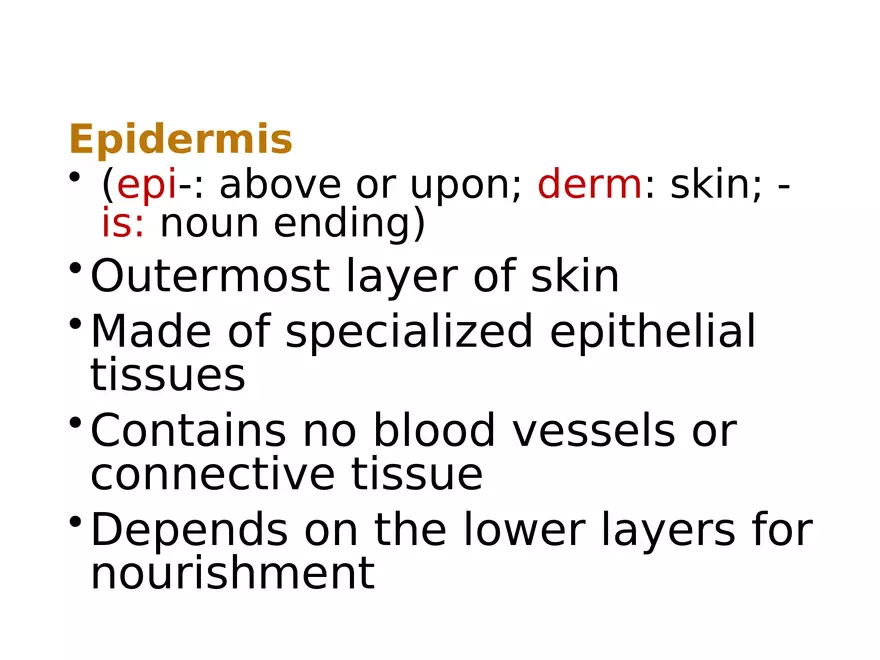 The Integumentary System Lecture (Skin) - Page 2